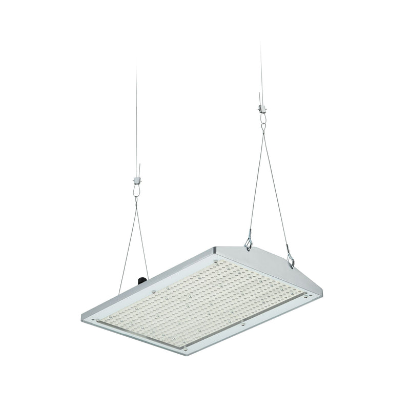 Philips Lighting - Hallen-Reflektorleuchte LED-Hallenleuchte BY581P 250 #58925400 3000K, DIA