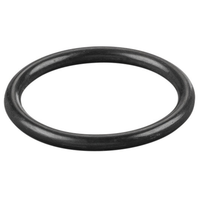 REMS - O-Ring