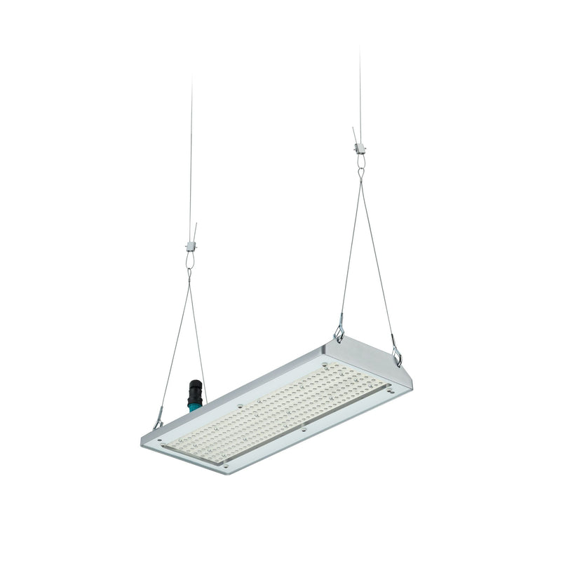 Philips Lighting - Hallen-Reflektorleuchte LED-Hallenleuchte BY580P 170 #59410400 4000K