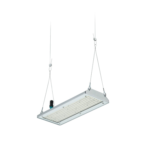 Philips Lighting - Hallen-Reflektorleuchte LED-Hallenleuchte BY580P 170 #58920900 6500K, DIA