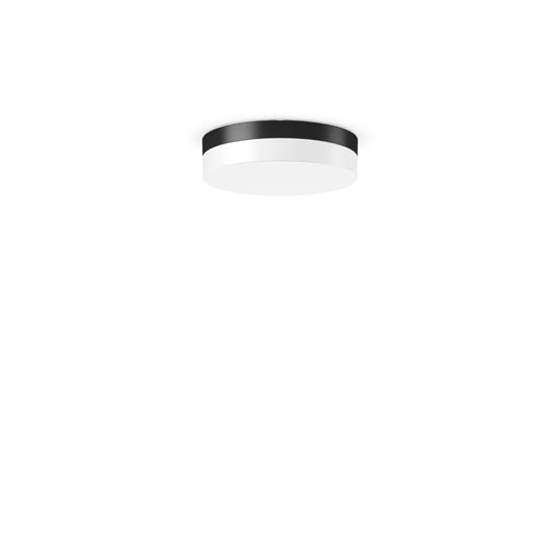 RZB - Decken-/Wandleuchte LED-Wand-u. Deckenleuchte 312135.0031.3 4000K