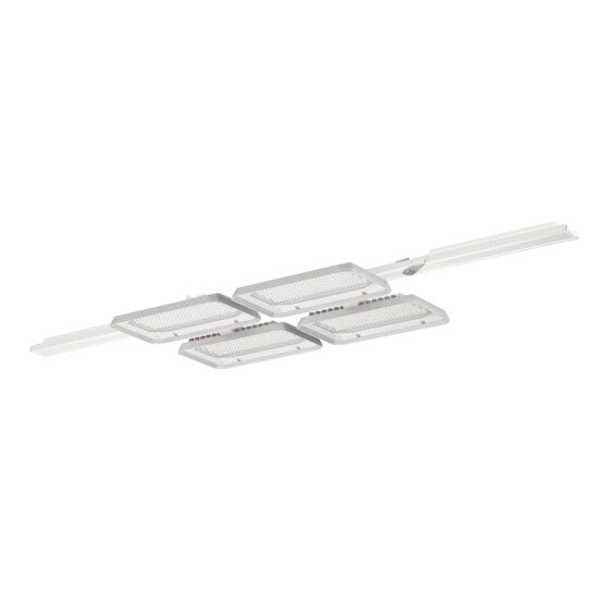 Siteco - Hallen-Reflektorleuchte LED-Hallenleuchte 51HLA1D24MLB 4000K