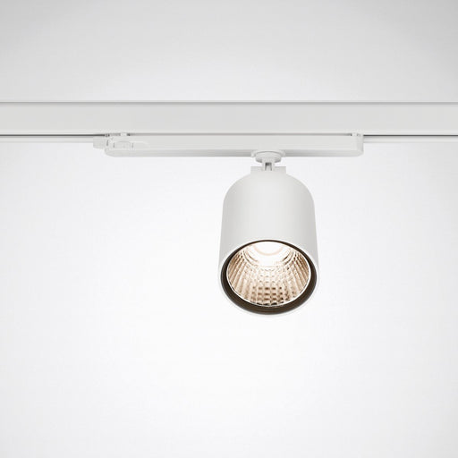 Trilux - Downlight/Strahler/Flutlicht LED-Stromschienenstrahler BV G2 3PTD #8433540 840, weiß