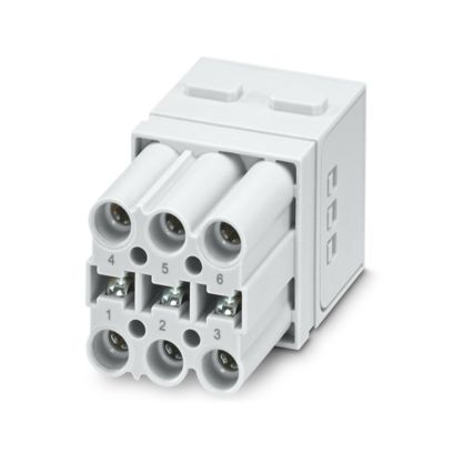 Phoenix Contact - Kontakteinsatz für Rechtecksteckverbinder Kontakteinsatzmodul HC-TSC-M-06-PT-F − 1 Stück