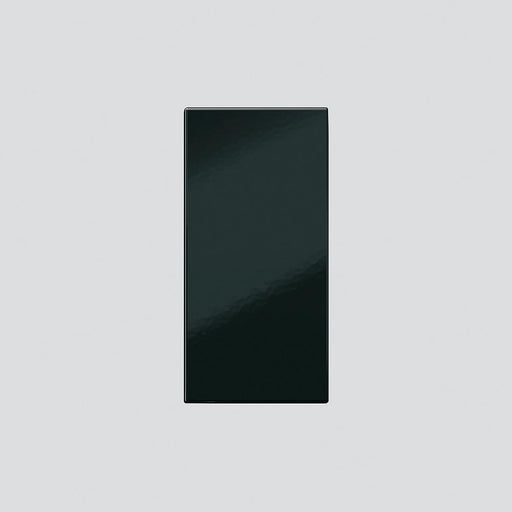 Siedle&Söhne - Zubehör/Ersatzteile für Türkommunikation Klingeltaste sw-hgl 200029934-00 ohne Glockensymbol