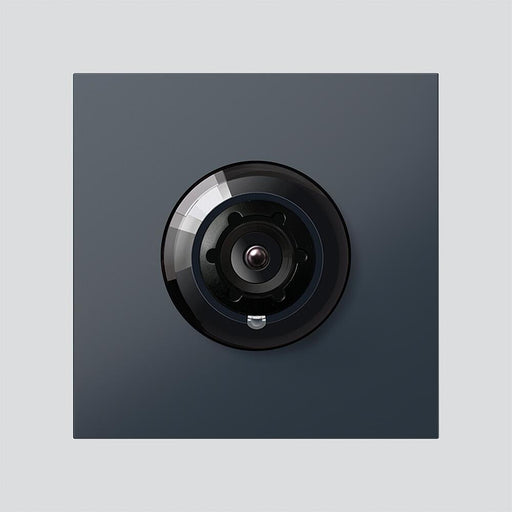 Siedle&Söhne - Funktionsmodul für Türkommunikation Systemfreie Kamera CM 613-03 AG Vario