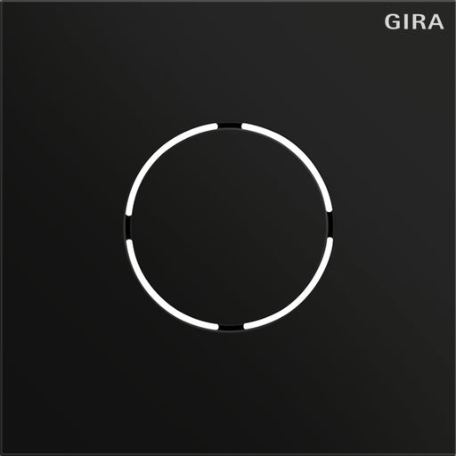 Gira - Funktionsmodul für Türkommunikation Frontpl. Sprachmodul sw 5578925