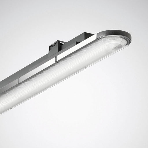 Trilux - Decken-/Wandleuchte LED-Feuchtraumleuchte Nextrema G3 #7585251 840, DALI  − 1 Stück