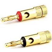 E+P Elektrik - Kommunikationstechnik-Adapter Bananenstecker BS 10 vergoldet − 2 Packung
