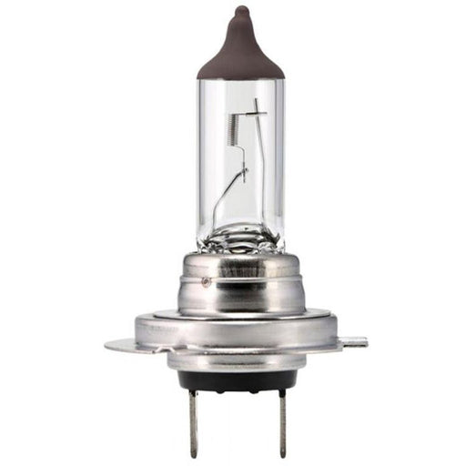 Scharnberger+Hasenbein - Fahrzeuglampe Autolampe Halogen H7 81149 PX26d 12V 80W