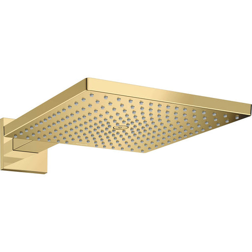 Hansgrohe - Kopfbrause RAINDANCE E 300 1jet m.Brausearm 390mm PGO