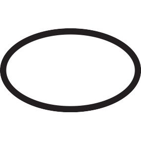Hansgrohe - O-Ring 23x2,5mm