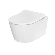 TOTO - Hamberger WC-Sitz RP, abnehmbar mit Absenkautomatik und Edelstahlscharn