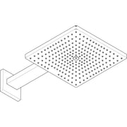Hansgrohe - Kopfbrause RAINDANCE E 300 1jet m.Brausearm 390mm BBR
