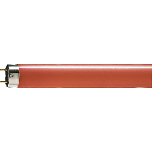 Philips Lighting - Leuchtstofflampe TL-D 36W/15 36W rot