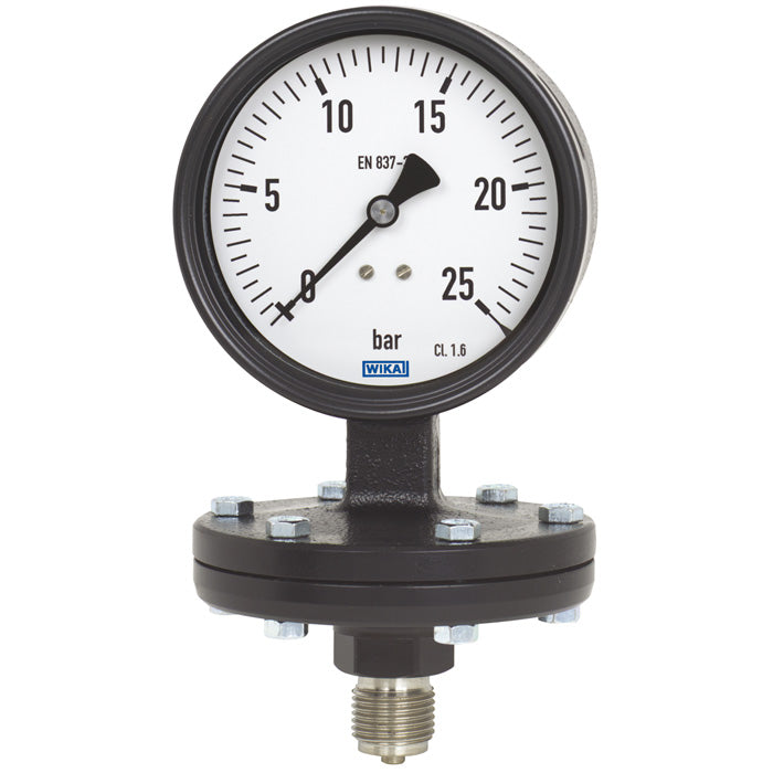 Wika Wiegand - Membranmanometer Plattenfedmano 422.12.100 9062483 Graugu -1bar G1/2B