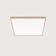 Lightnet - Decken-/Wandleuchte LED-Anbauleuchte CA9OEE-830M-Q500 3000K, silber