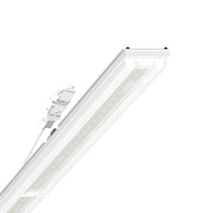 Regiolux - Geräteträger für Lichtbandsystem LED-Geräteträger IP64 SRGSVCG #19577006700 865, DALI2