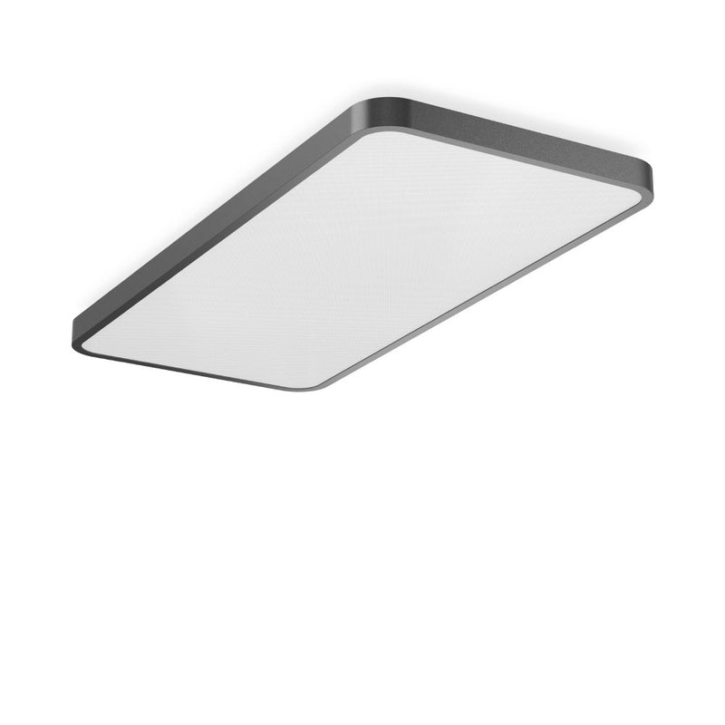 RZB - Decken-/Wandleuchte LED-Wand-u.Deckenleuchte 312720.0031.76 830, DALI, anthrazit