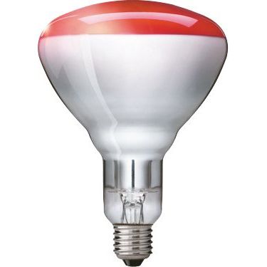 Philips Lighting - Infrarotlampe Infrarot-Heizstrahler IR 250 RH 230-250V E27