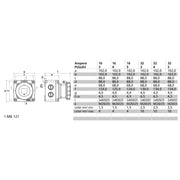 Bals Elektrotech - CEE-Steckdose (IEC 60309) CEE-Steckdose 110565