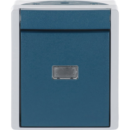 Busch-Jaeger - Taster 2621 W-53-206 Wechsler, AP