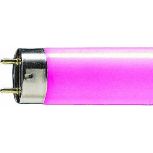 Scharnberger+Hasenbein - Leuchtstofflampe T8 68000 26x590 G13 18W pink