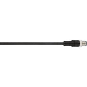 Lapp Zubehör - Konfektioniertes Sensor-Aktor-Kabel AB-C8-M12MS-2,0PUR 22260091