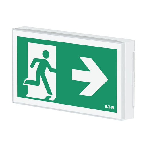 Ceag Notlichtsysteme - Sicherheitsleuchte LED-Rettungszeichenleuchte FT2EW4ICGL18 1-8h, Piktos, Wand