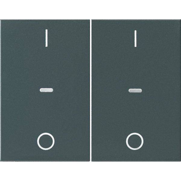 Berker - Abdeckung/Bedienelement für Installationsschalterprogramme Abdeckung Tastsensor-Modul 80962375 2-fach anthrazit