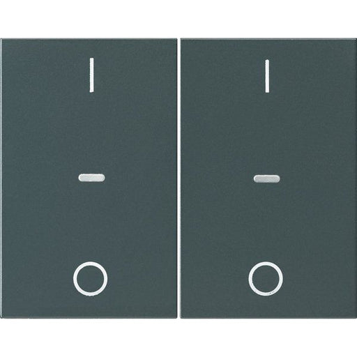 Berker - Abdeckung/Bedienelement für Installationsschalterprogramme Abdeckung Tastsensor-Modul 80962375 2-fach anthrazit