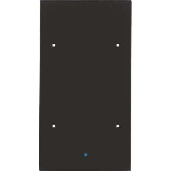 Berker - Bussystem-Tastsensor Glas-Sensor 2fach 75142835 Glas
