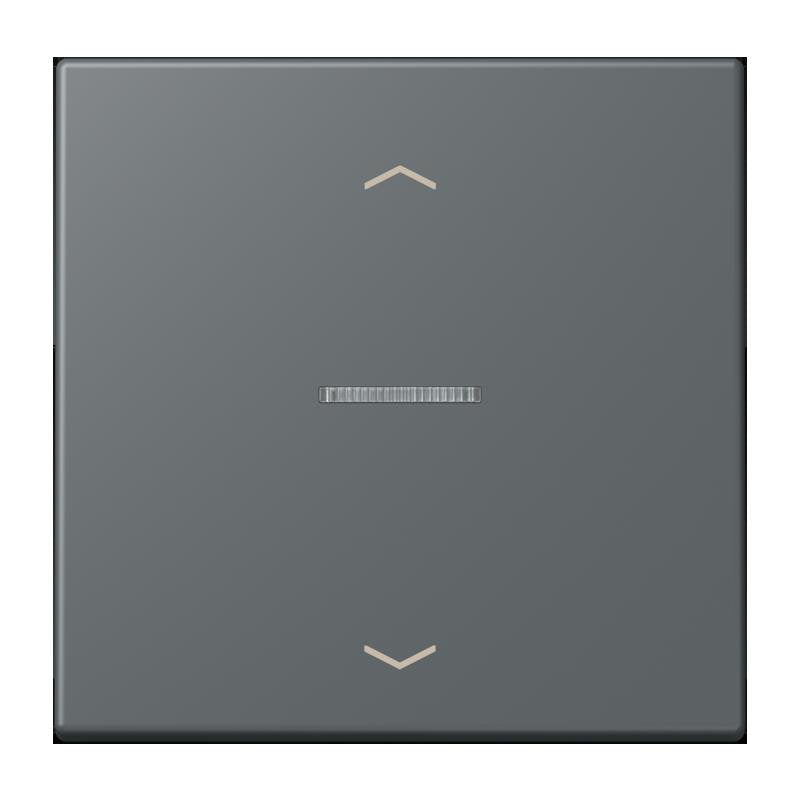 Jung - Abdeckung/Bedienelement für Installationsschalterprogramme Wippe mit Lichtleiter LC 101 KO5P 202 gris fonce 31