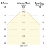 EVN Lichttechnik - Lichtschlauch/-band LED-Stripe IP67 5m IC674884280125 3000K