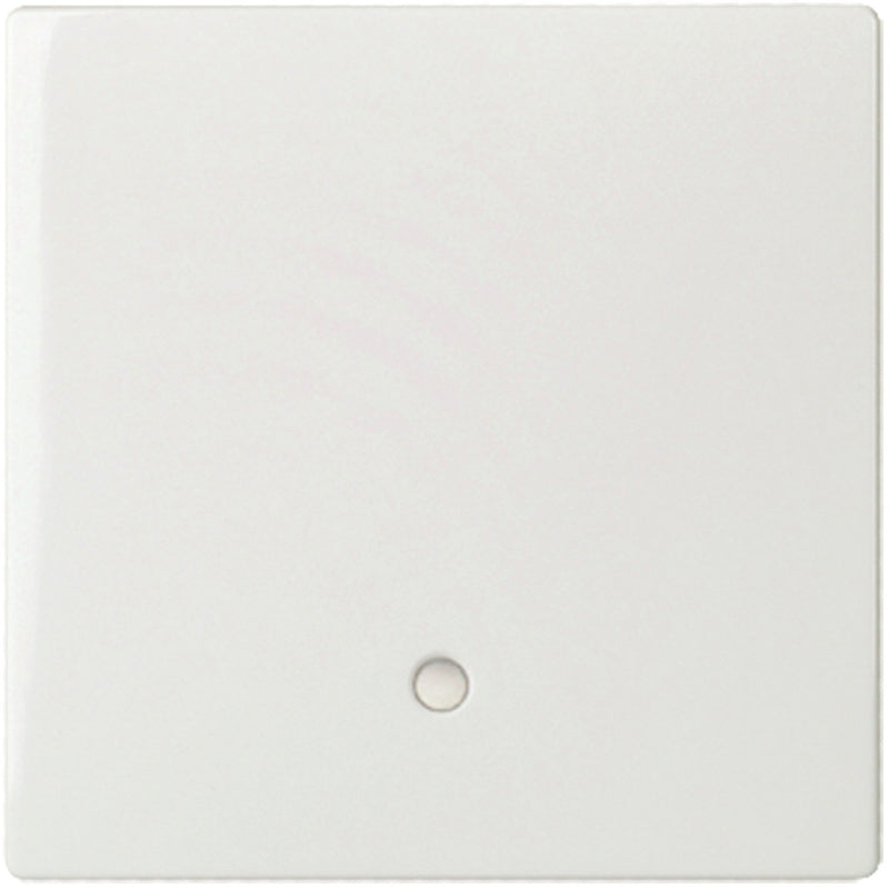 Elso - Abdeckung/Bedienelement für Installationsschalterprogramme Tastfläche 1-f.rws 363344
