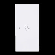 Busch-Jaeger - Bussystem-Tastwippe Wippe 2-fach rechts m.Sym. 6234-22-44G Dimmer