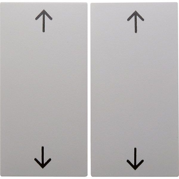 Berker - Abdeckung/Bedienelement für Installationsschalterprogramme Wippe pws 16441909 Symbol Pfeil