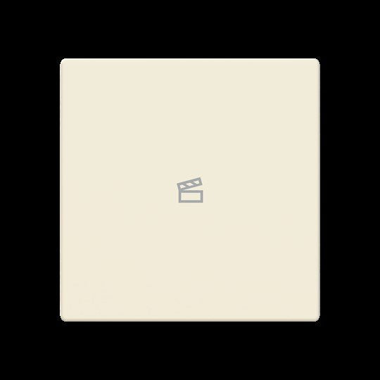 Busch-Jaeger - Bussystem-Tastwippe Abdeckung als Taster LFST/A.1.63.11-82 1f. Symbol Szene