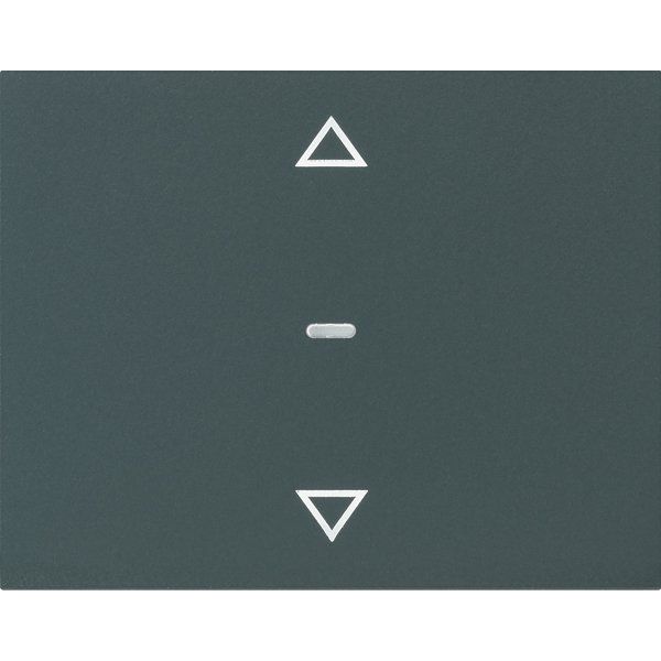 Berker - Abdeckung/Bedienelement für Installationsschalterprogramme Abdeckung Tastsensor-Modul 80961275 1-fach anthrazit