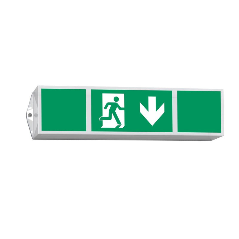 RP-Technik - Sicherheitsleuchte Rettungszeichenleuchte KWIW019ML ZBA
