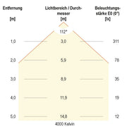 EVN Lichttechnik - Decken-/Wandleuchte LED-Anbauleuchte D54250125