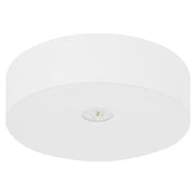 Fischer - Sicherheitsleuchte LED-Sicherheitsleuchte AXD815SC.V2 EB 8h