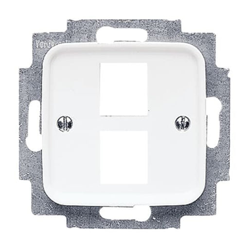 Busch-Jaeger - Einsatz/Abdeckung für Kommunikationstechnik Zentralscheibe aws 2561-02-214 für 2 Modular Jack