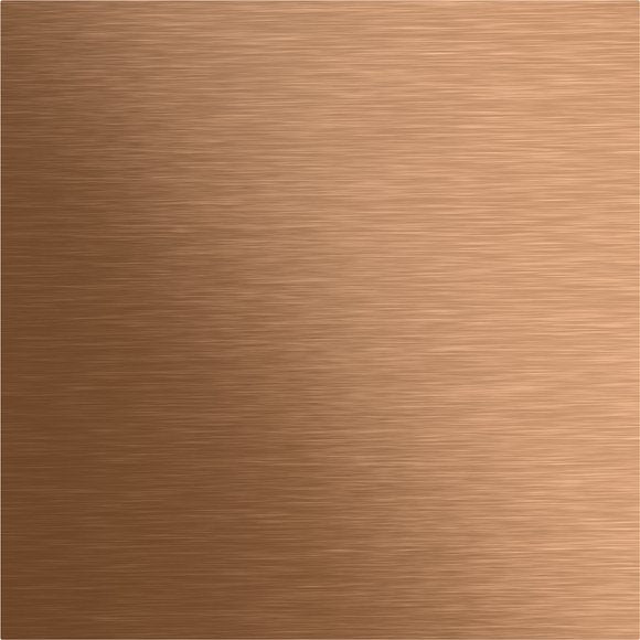 Gira - Funktionsmodul für Türkommunikation Blindmodul System 106 5568921 Bronze