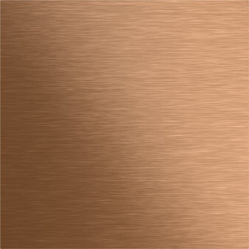 Gira - Funktionsmodul für Türkommunikation Blindmodul System 106 5568921 Bronze