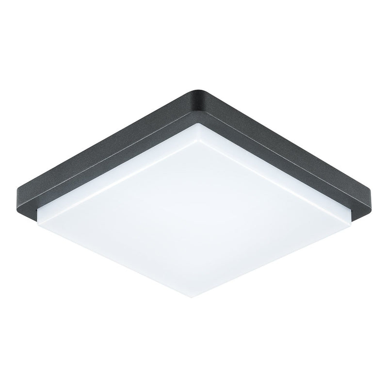 EVN Lichttechnik - Decken-/Wandleuchte LED-Anbauleuchte DAQH54141502 3000K IP54 anth