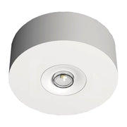 RP-Technik - Sicherheitsleuchte LED-Sicherheitsleuchte EARL421WL Decke, Linsen, rund