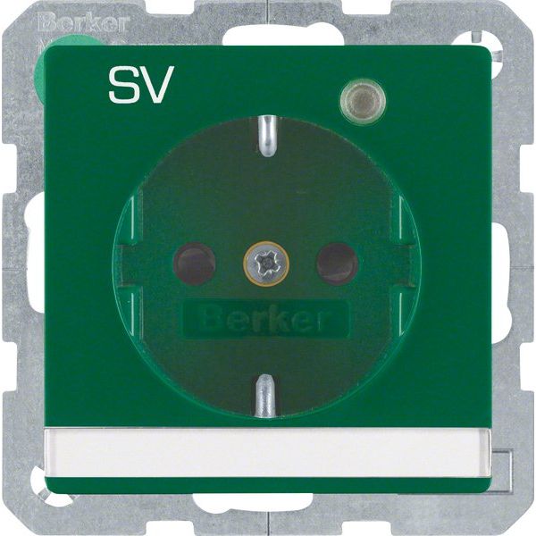 Berker - Steckdose SCHUKO-Steckdose gn samt 41106013 Kontroll-LED