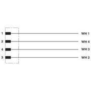 Phoenix Contact - Konfektioniertes Sensor-Aktor-Kabel Sensor-/Aktor-Kabel SAC-4P-MS/ 2#1407311