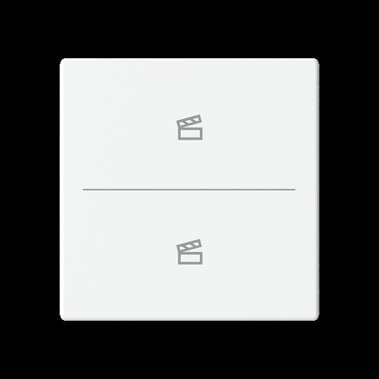Busch-Jaeger - Bussystem-Tastwippe Abdeckung als Taster LFST/A.2.63.11-84 2f. Symbol Szene